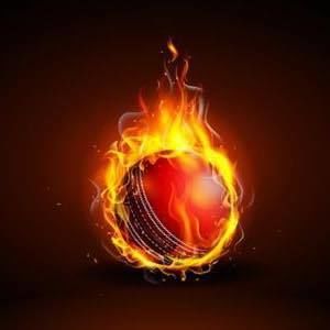 Meet your Posher, Shane